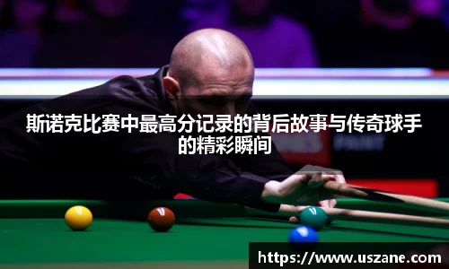 3377体育官网入口