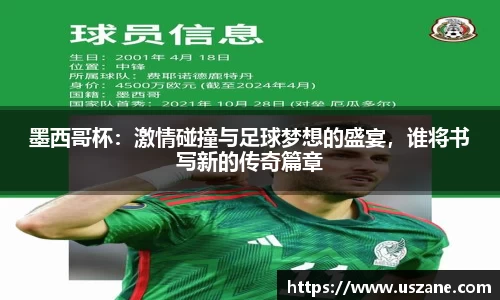 墨西哥杯：激情碰撞与足球梦想的盛宴，谁将书写新的传奇篇章
