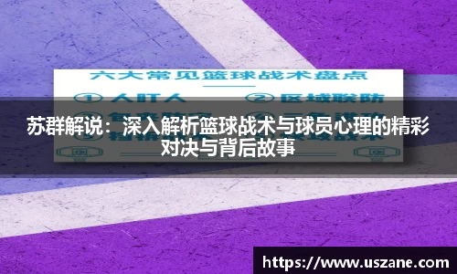 苏群解说：深入解析篮球战术与球员心理的精彩对决与背后故事