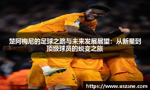 3377体育最新地址